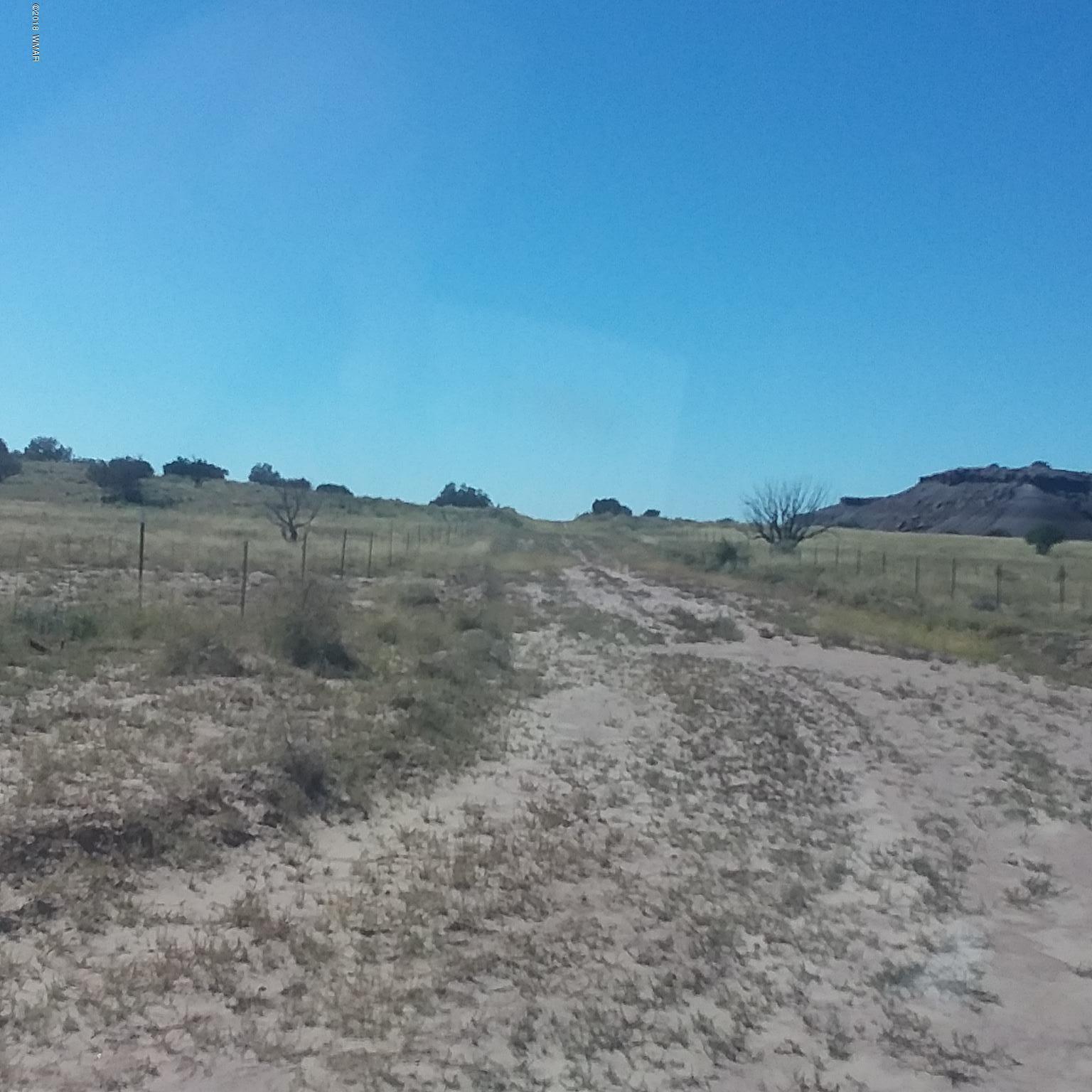 Lot 317 Carrizo Ranch St. Johns, AZ 85936 - Photo 6 of 7 a view of a dry yard with mountains in the background