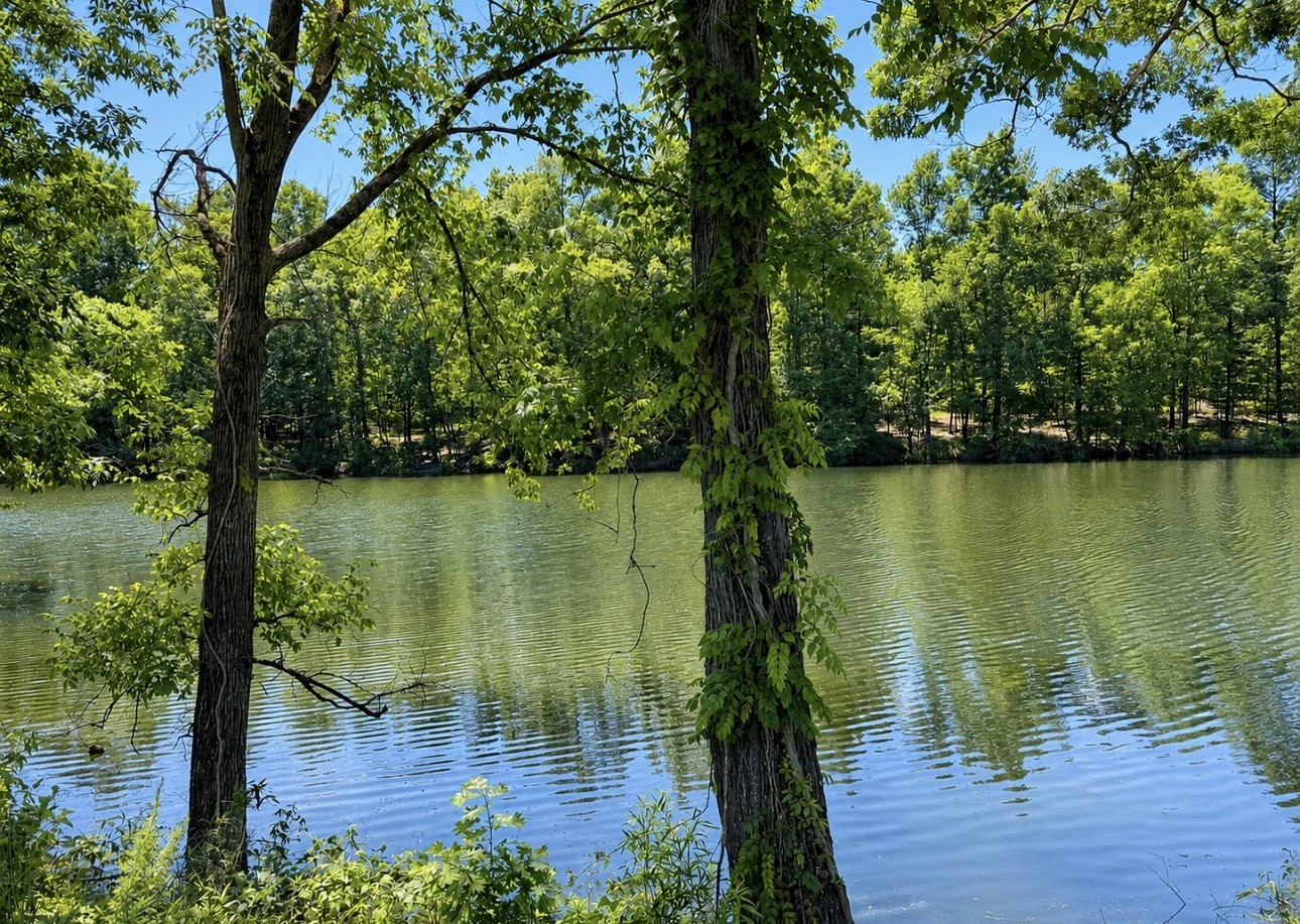 384 Duck Blind Road Clifton, TN 38425 - Photo 2 of 6
