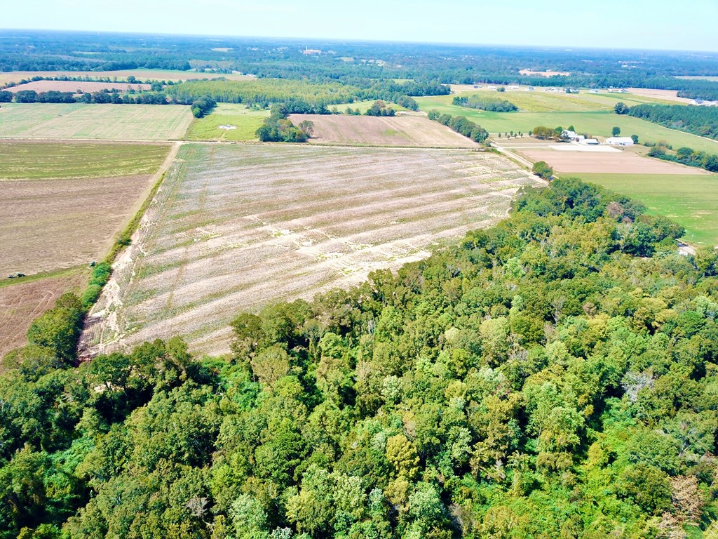 7-acres Underwood Mill Road Dothan, AL 36301 - Photo 8 of 11