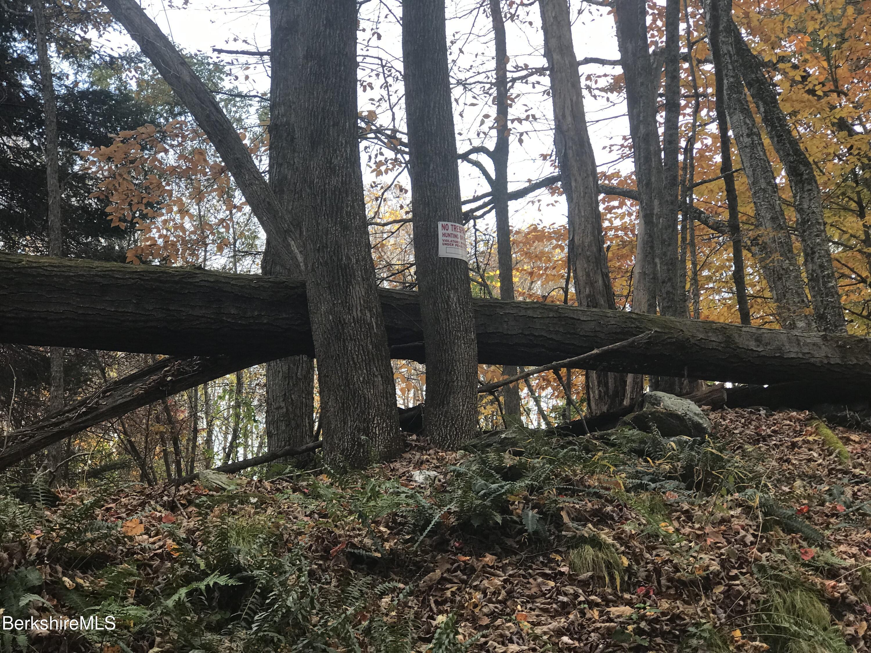 Rosenberg Rd Road Lanesborough, MA 01237 - Photo 1 of 3 6.78 acres lot #39