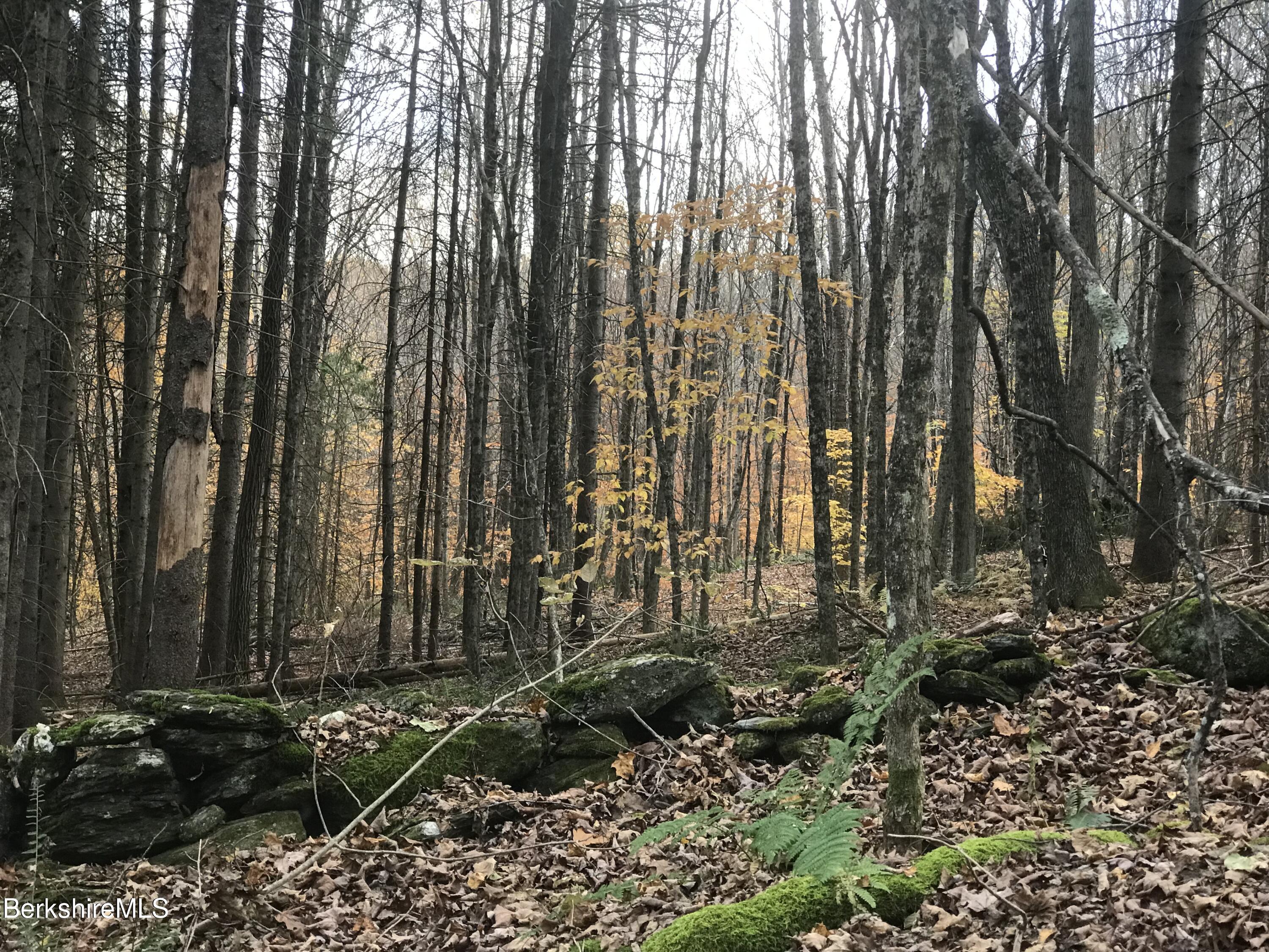 Rosenberg Rd Road Lanesborough, MA 01237 - Photo 2 of 3 stone wall