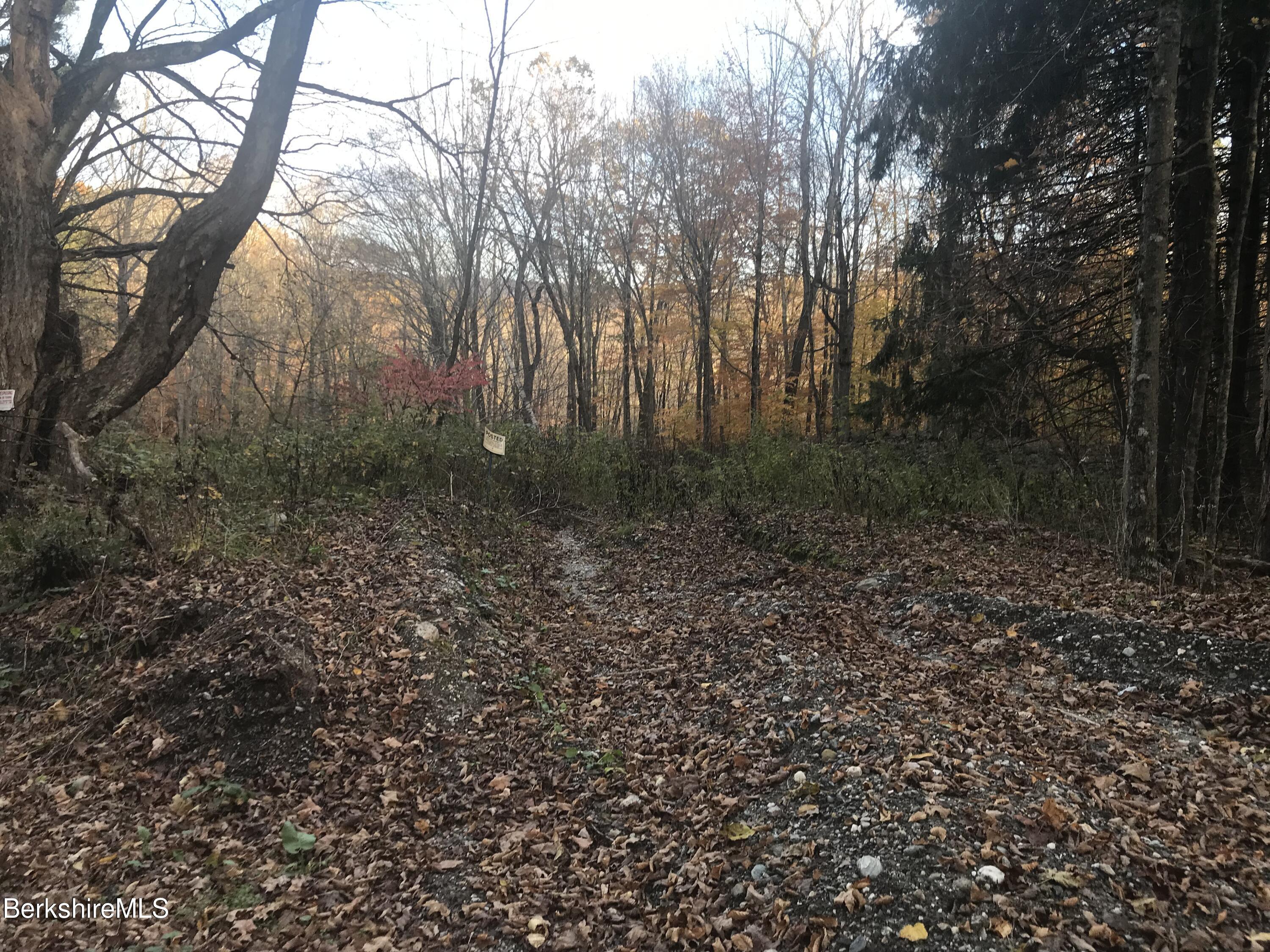 Rosenberg Rd Road Lanesborough, MA 01237 - Photo 3 of 3 Land