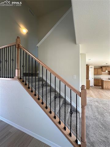 5062 Ruffner Court Colorado Springs, CO 80925 - Photo 3 of 14 Gallery Image 3