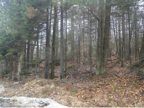 0 North Hidden Lake Road Stoddard, NH 03464 - Photo 1 of 3 Gallery Image 1