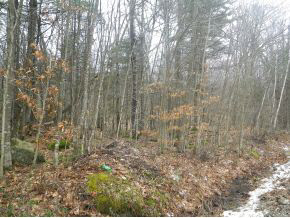0 North Hidden Lake Road Stoddard, NH 03464 - Photo 3 of 3 Gallery Image 3