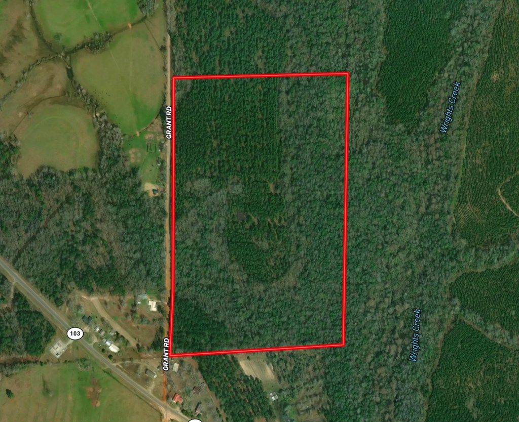 Undisclosed Address Slocomb, AL 36375 - Photo 4 of 23