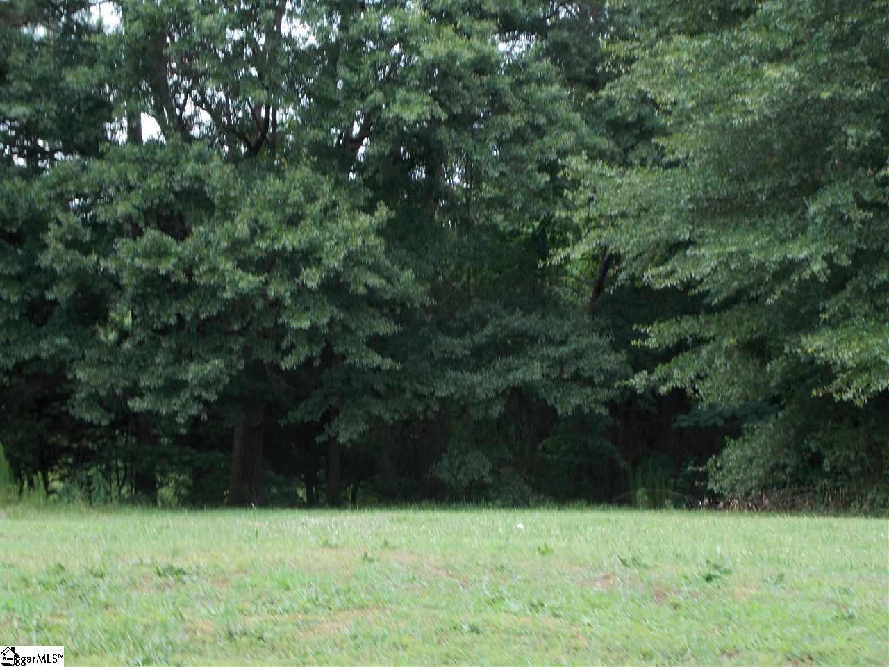 106 Mae Sue Court Inman, SC 29349 - Photo 11 of 12