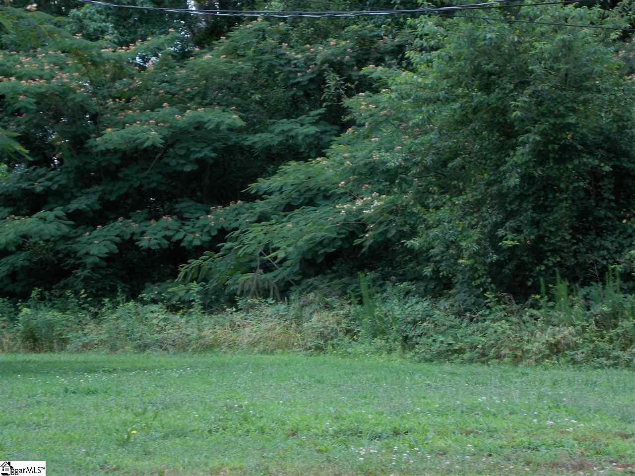 106 Mae Sue Court Inman, SC 29349 - Photo 8 of 12