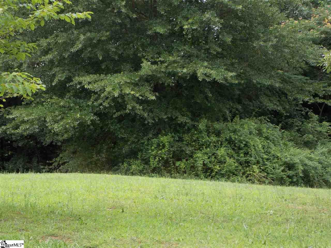 106 Mae Sue Court Inman, SC 29349 - Photo 9 of 12