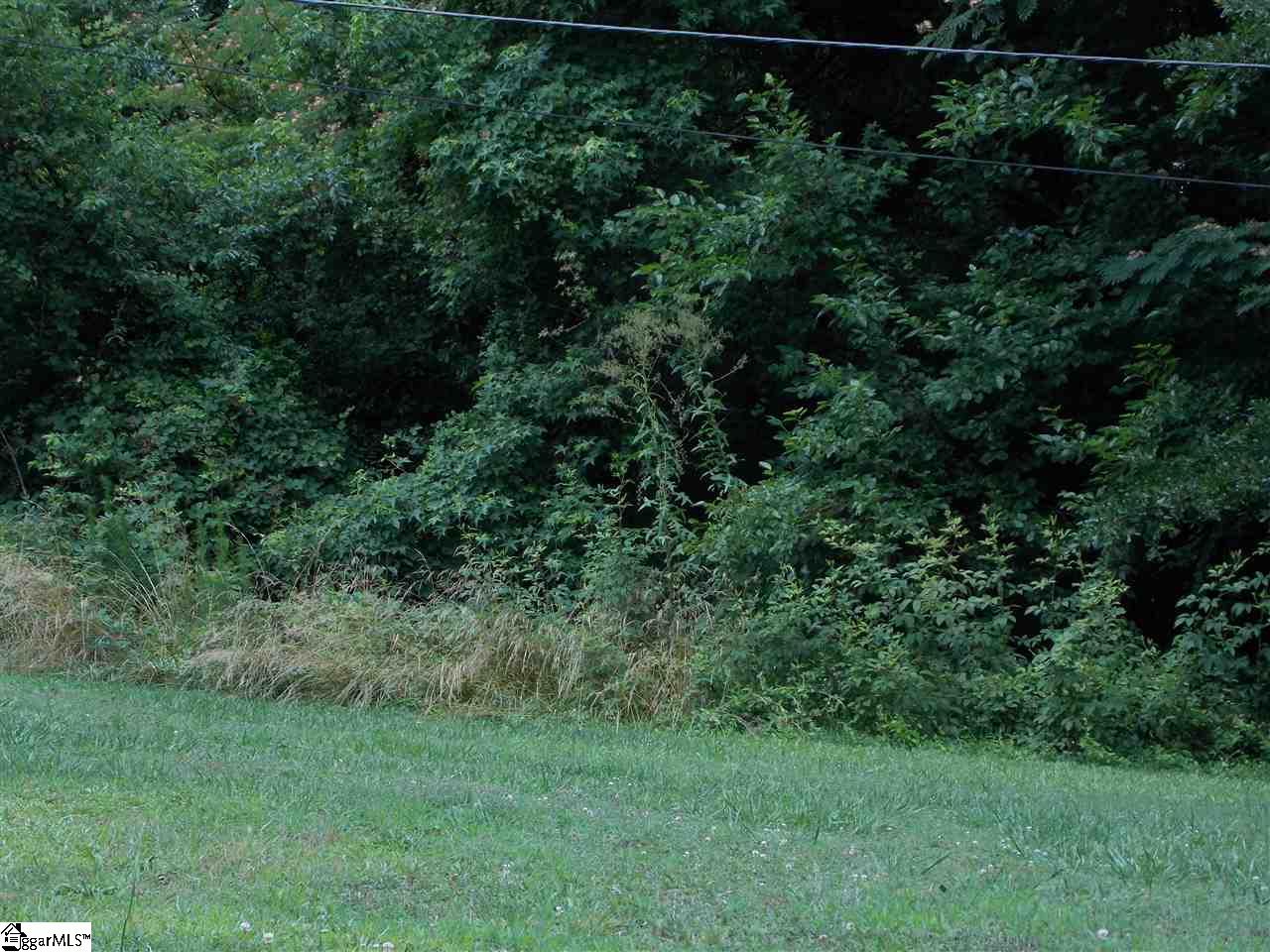 106 Mae Sue Court Inman, SC 29349 - Photo 10 of 12