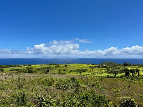 $2,750,000 | 0 Lower Ulumalu Road, Haiku, HI 96708