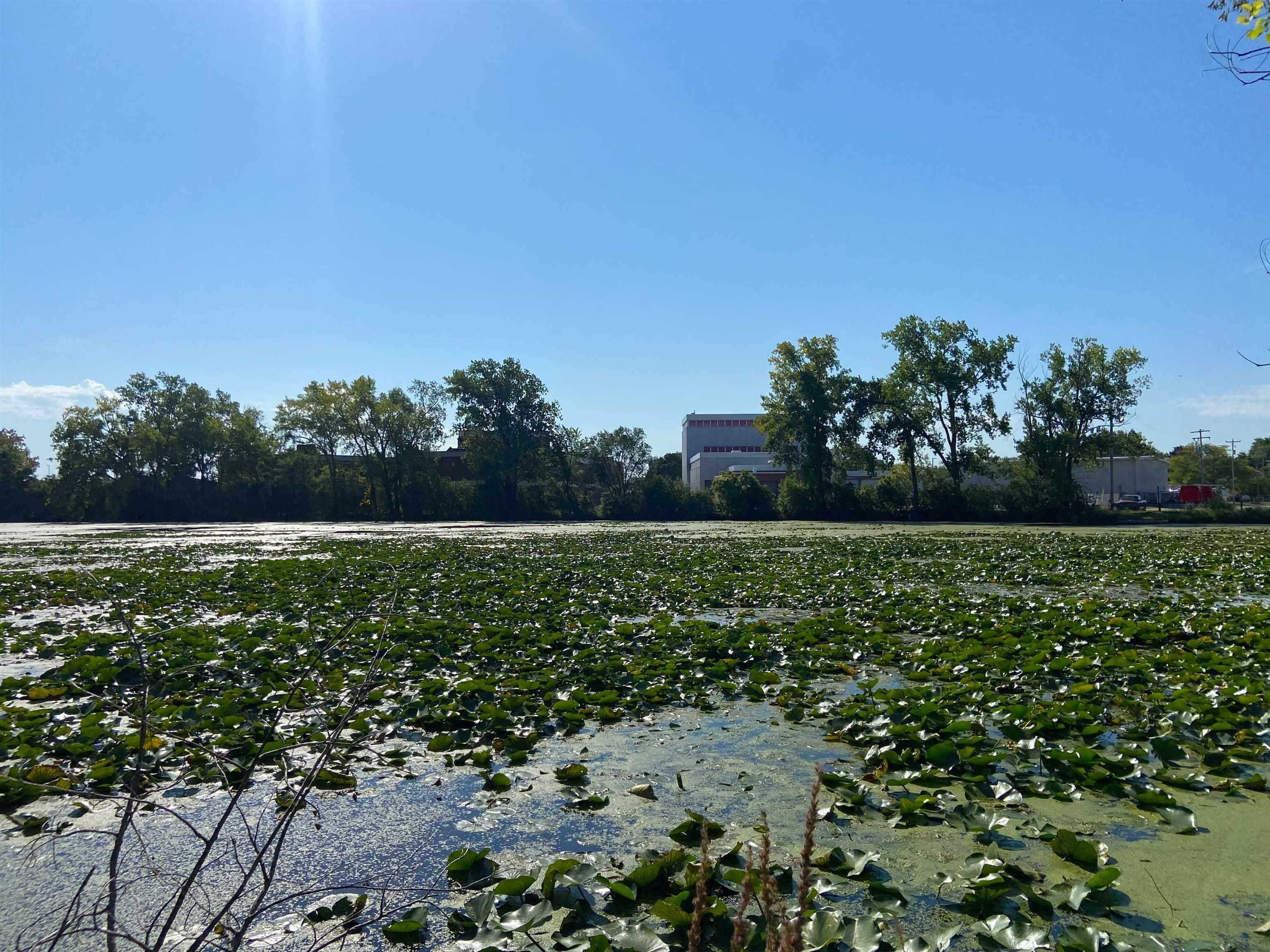 Josslyn Street, Unit 2 Oshkosh, WI 54902 - Photo 8 of 12