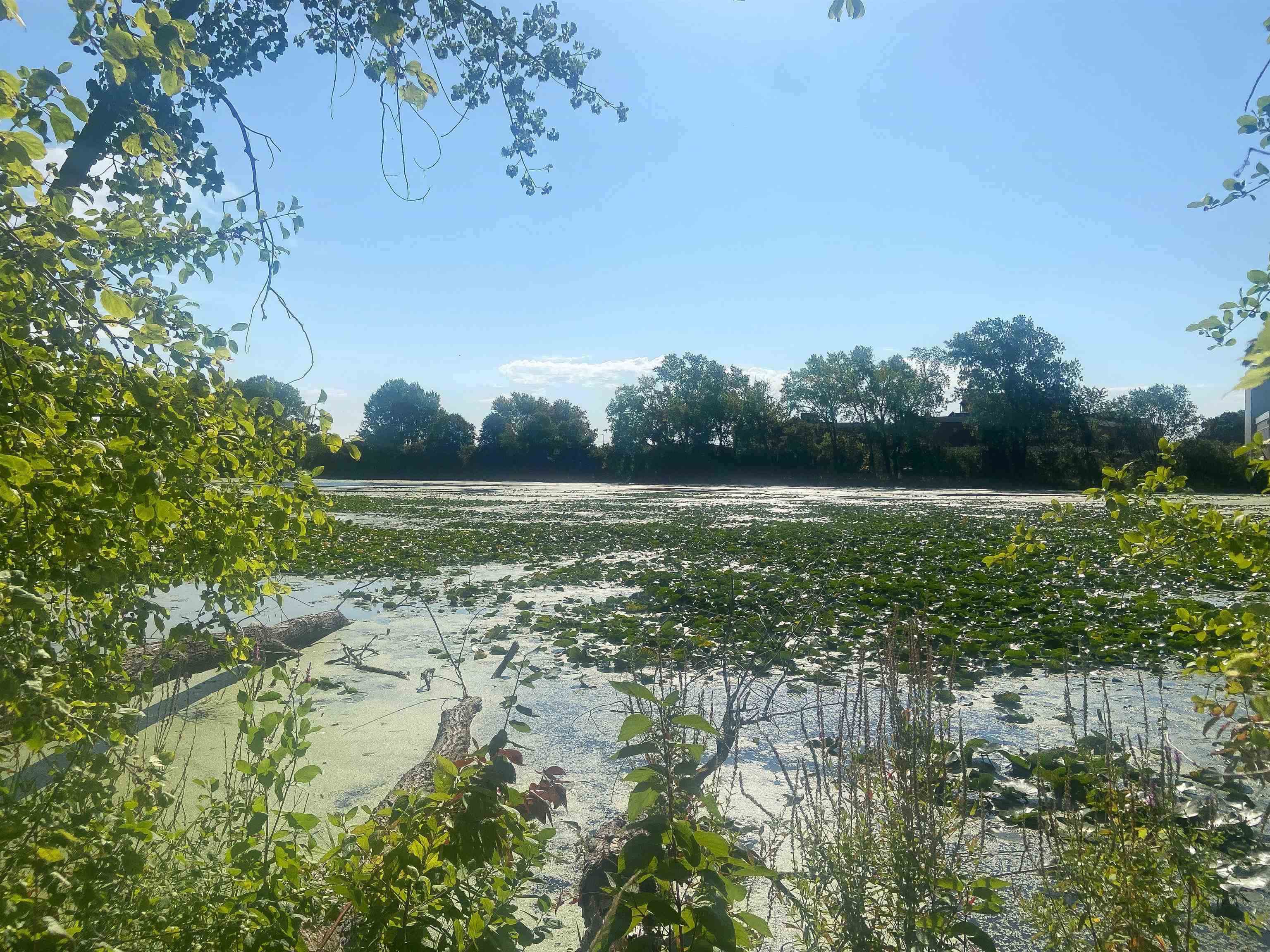 Josslyn Street, Unit 2 Oshkosh, WI 54902 - Photo 9 of 12