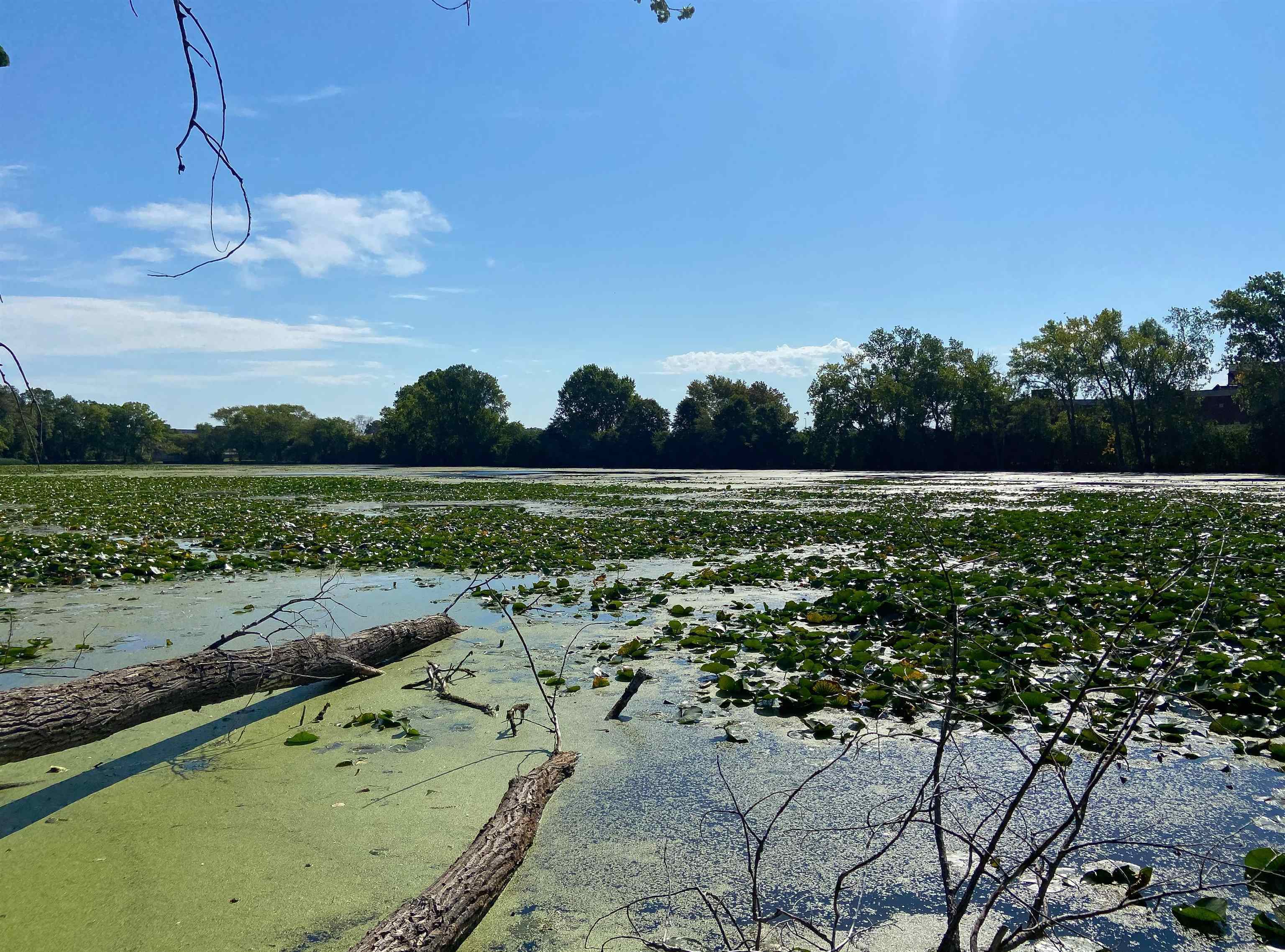 Josslyn Street, Unit 2 Oshkosh, WI 54902 - Photo 10 of 12