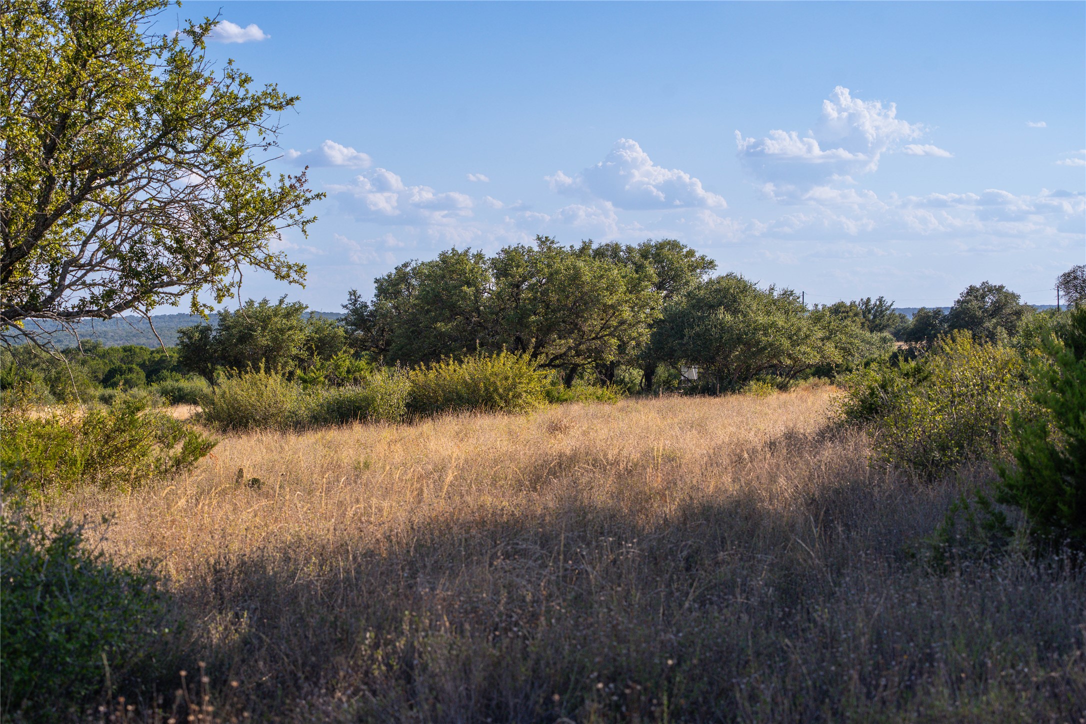 4719 Private Road, Unit 4718 Kempner, TX 76539 - Photo 23 of 38 Great flat areas for building and home site.