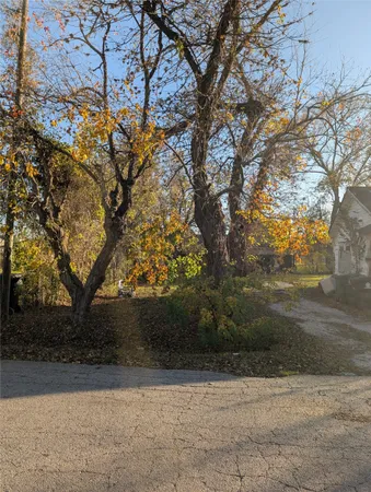 a view of backyard with green space