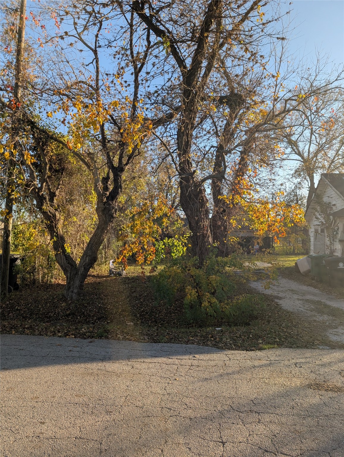 a view of backyard with green space