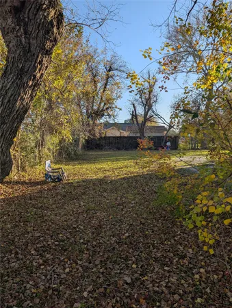 a view of a yard with an trees