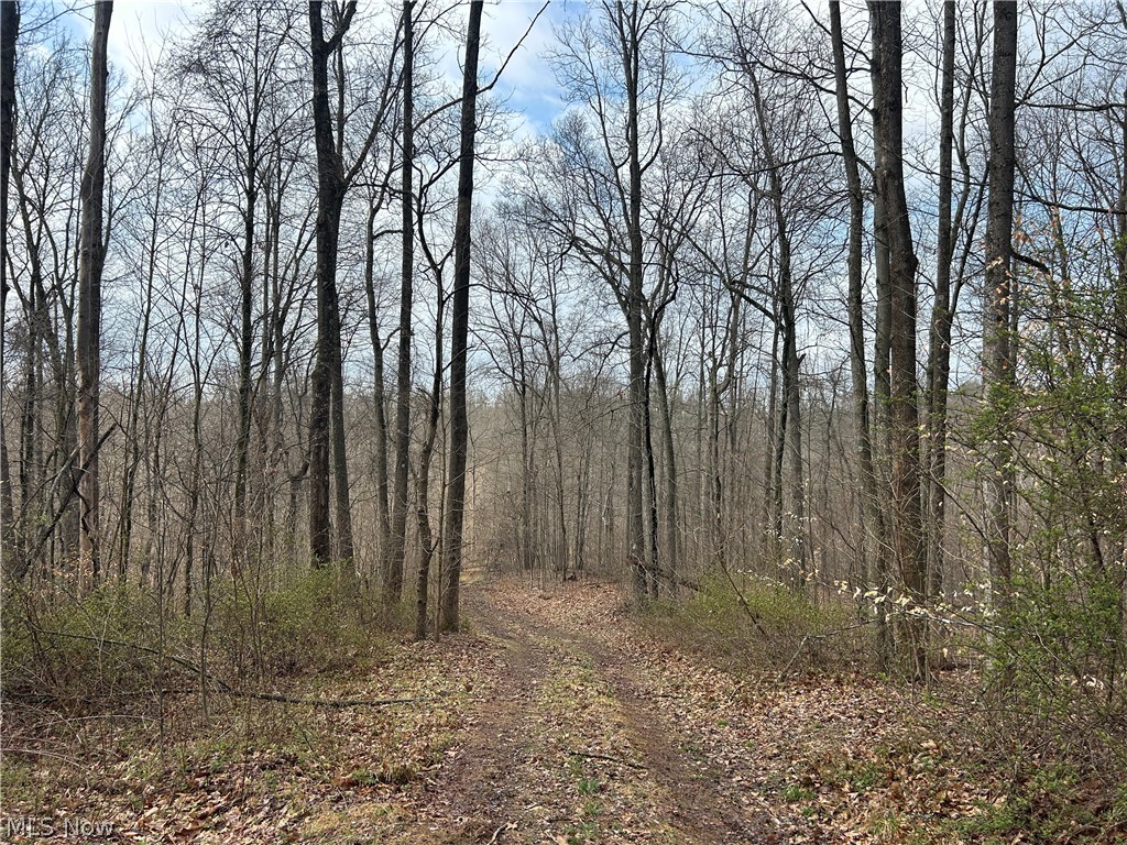 Wilbur Bush Road Crooksville, OH 43731 - Photo 13 of 19