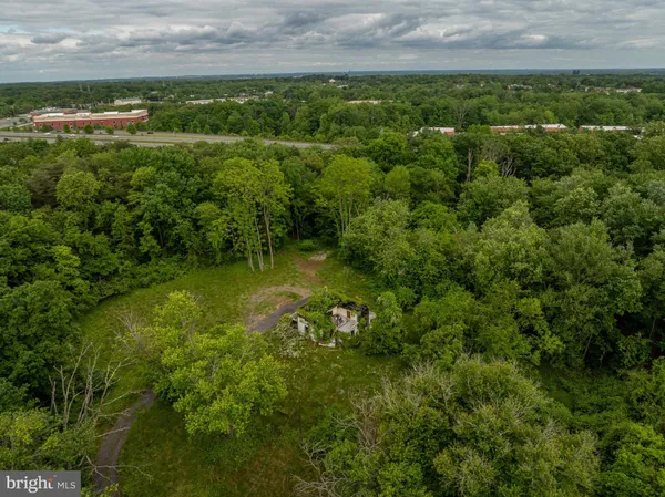 a view of a forest with a houses