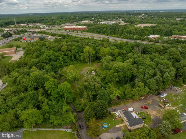 a view of a yard with plants and a bench