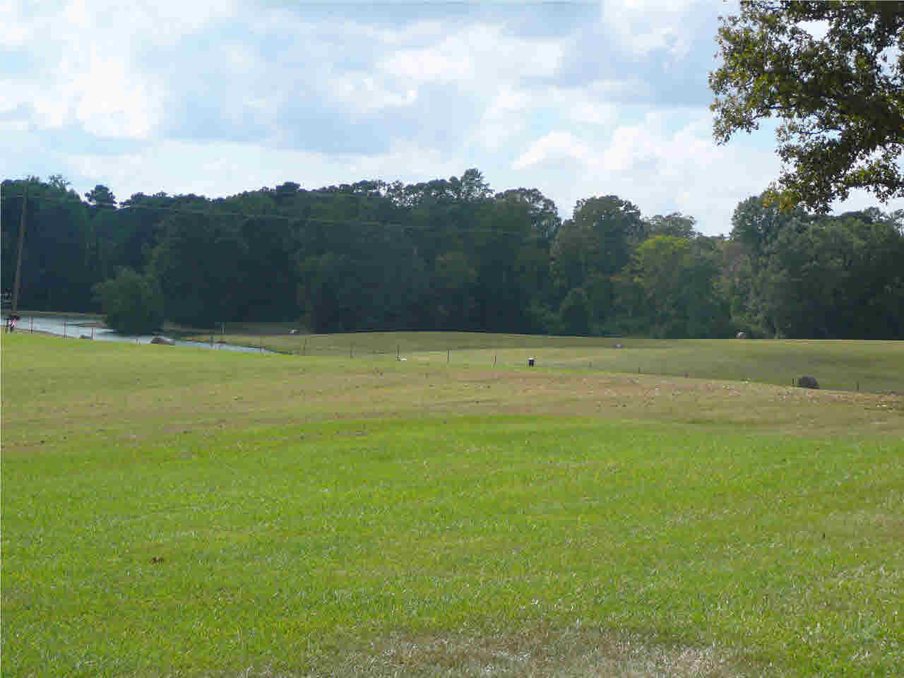 121 Clear Branch Road Florence, MS 39073 - Photo 7 of 7 Another beautiful view of land and pond