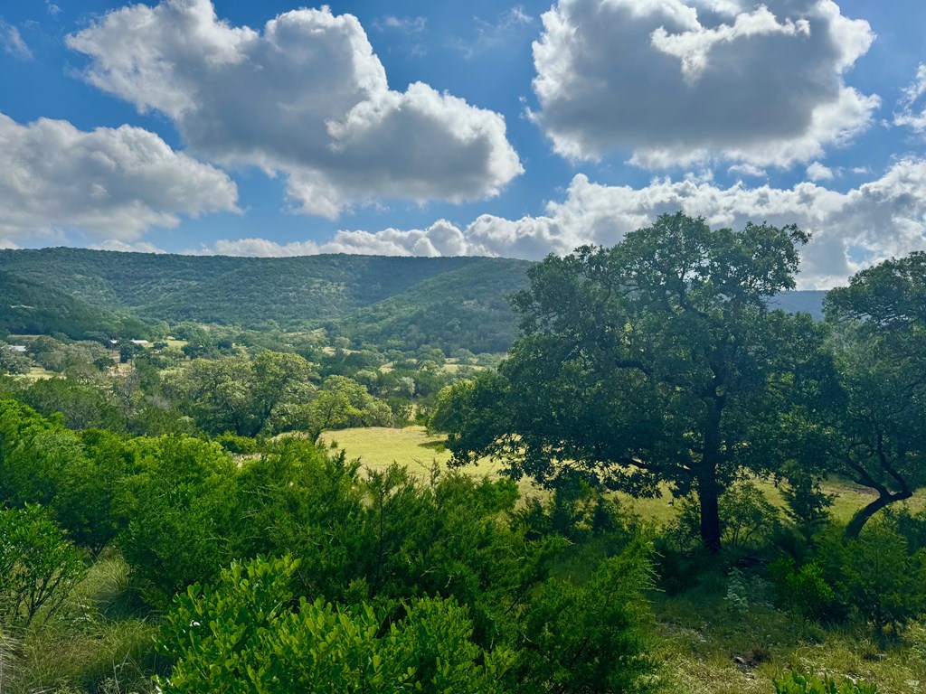 0 John Buchanan Road Leakey, TX 78873 - Photo 11 of 17 a view of a lake in middle of forest
