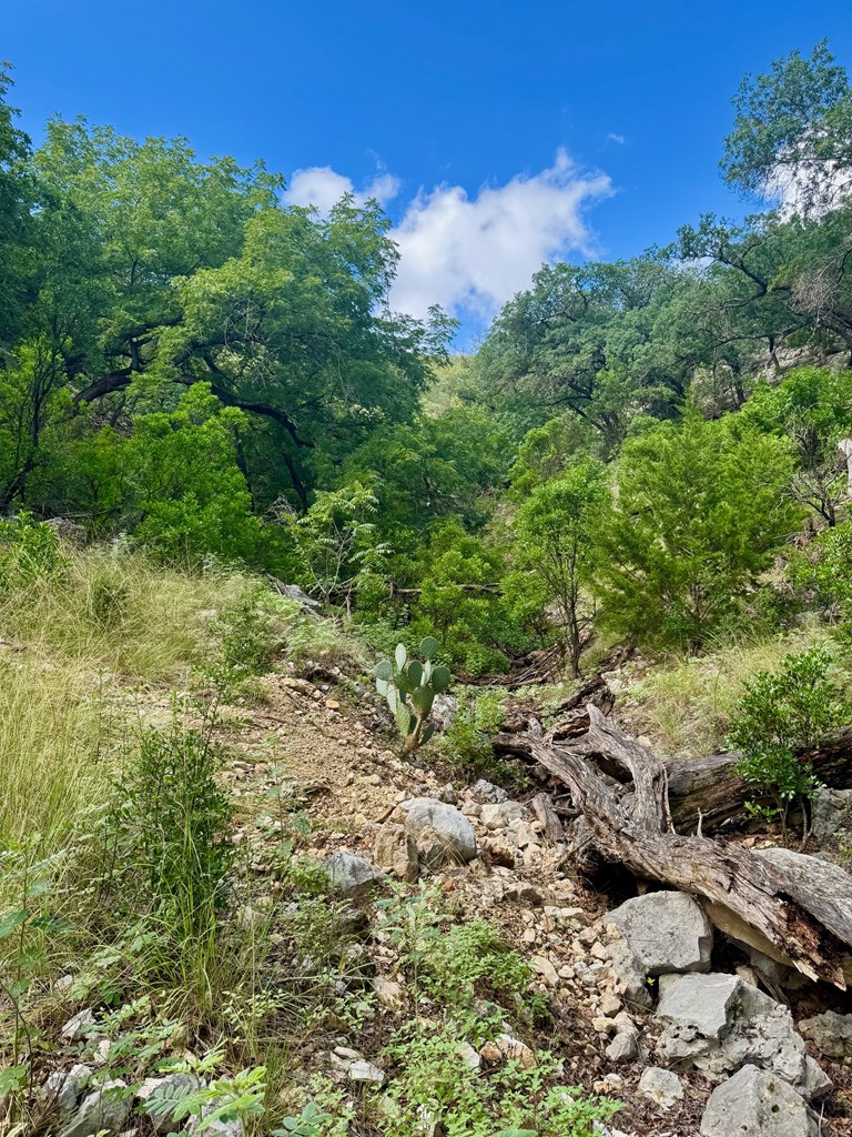 0 John Buchanan Road Leakey, TX 78873 - Photo 13 of 17 a view of a large yard with lots of green space