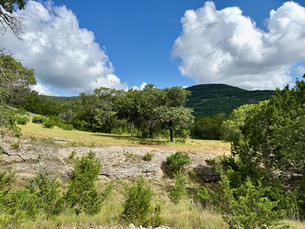 0 John Buchanan Road Leakey, TX 78873 - Photo 15 of 17 a view of a yard with an trees
