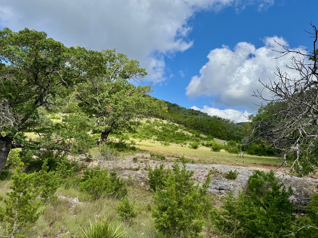 0 John Buchanan Road Leakey, TX 78873 - Photo 16 of 17 a view of a lake with a yard