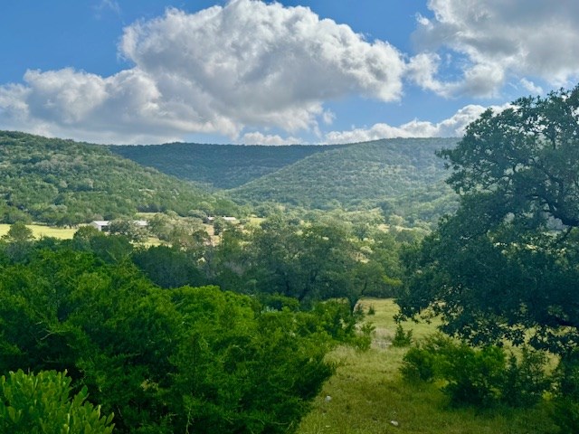 0 John Buchanan Road Leakey, TX 78873 - Photo 2 of 17