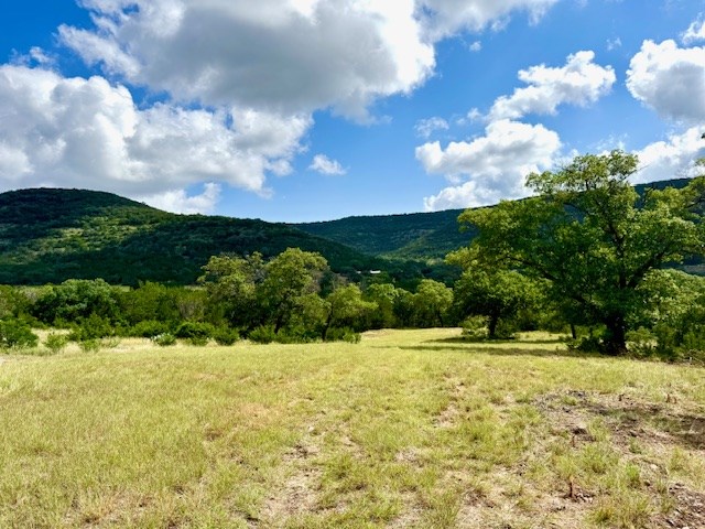 0 John Buchanan Road Leakey, TX 78873 - Photo 3 of 17 a view of a garden with a building in the background