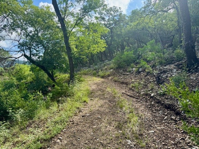0 John Buchanan Road Leakey, TX 78873 - Photo 5 of 17 a big yard with lots of green space and deers