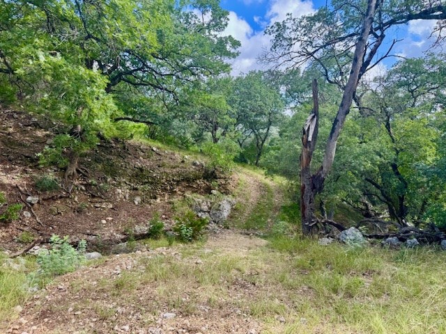 0 John Buchanan Road Leakey, TX 78873 - Photo 6 of 17 a view of a yard with a tree