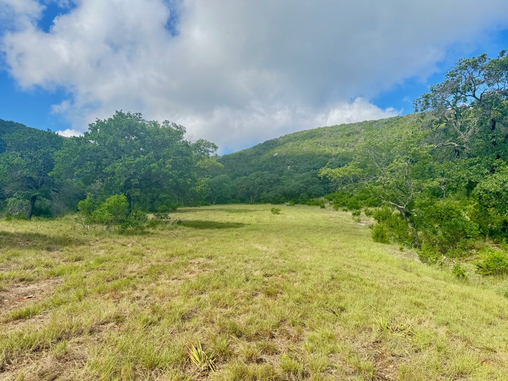 0 John Buchanan Road Leakey, TX 78873 - Photo 8 of 17 a view of yard with swimming pool and green space