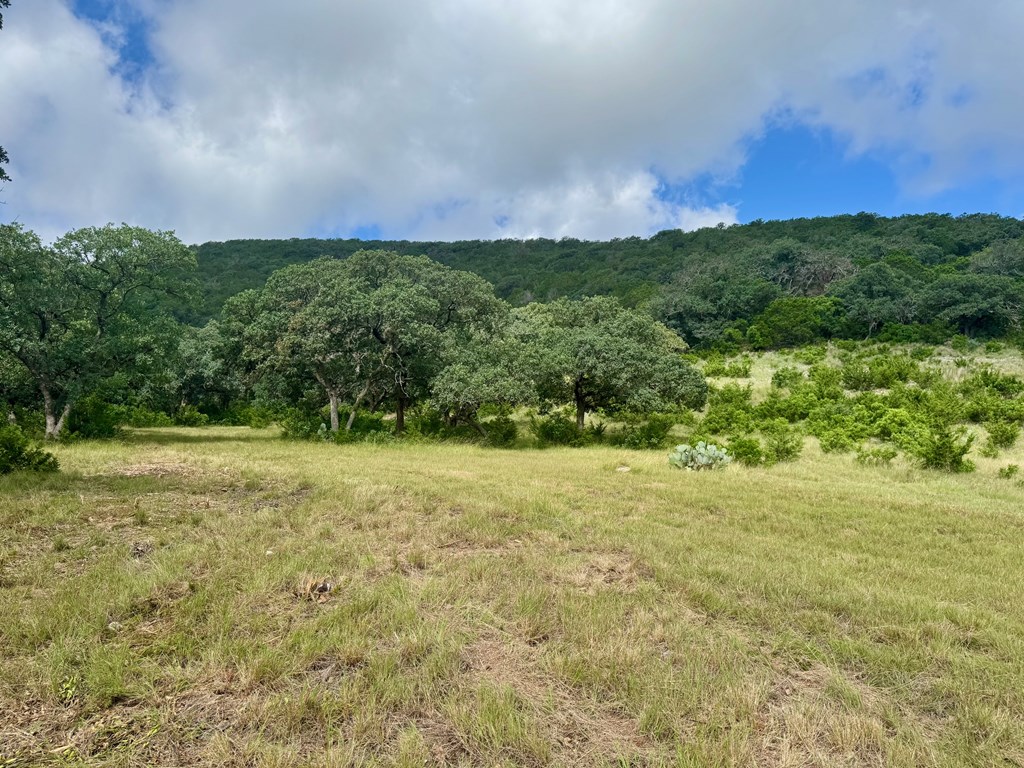 0 John Buchanan Road Leakey, TX 78873 - Photo 9 of 17 a view of a big yard with lots of green space