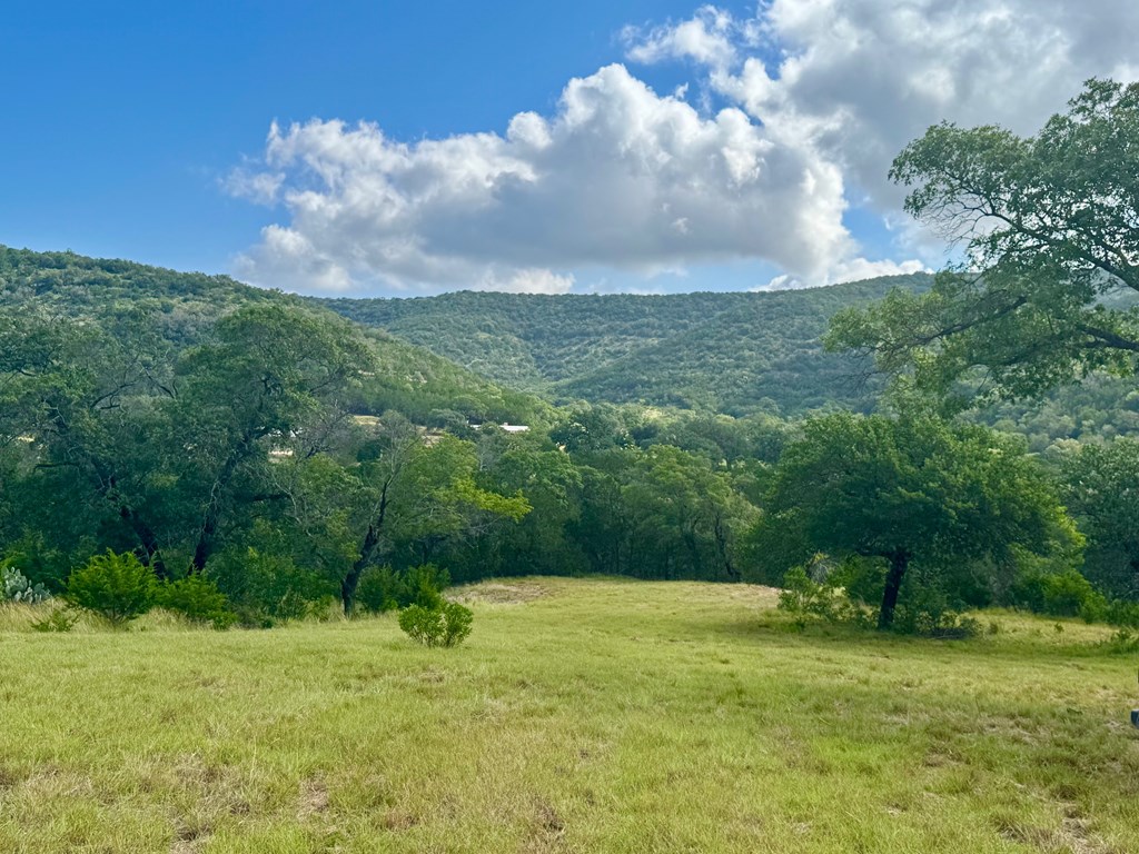 0 John Buchanan Road Leakey, TX 78873 - Photo 10 of 17 a view of a big yard with a large tree