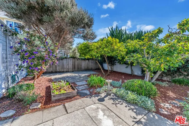 a view of a backyard with plants and flowers