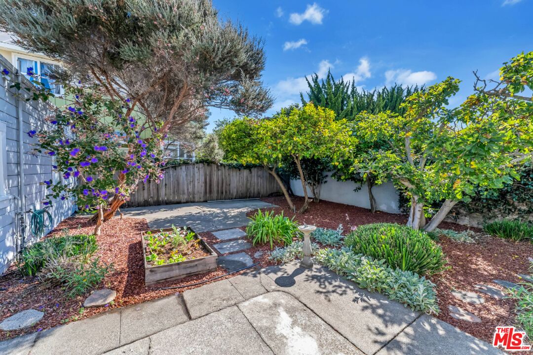 487 43rd Street, Unit 3 Oakland, CA 94609 - Photo 8 of 9 a view of a backyard with plants and flowers