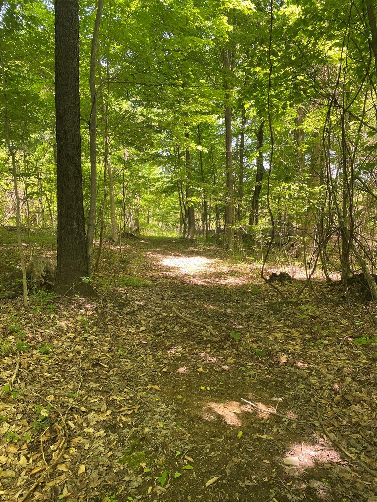 Franklin Road Girard, PA 16417 - Photo 3 of 5