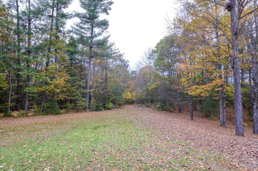 55 Ridlon Road Berwick, ME 03901 - Photo 21 of 21 Backyard