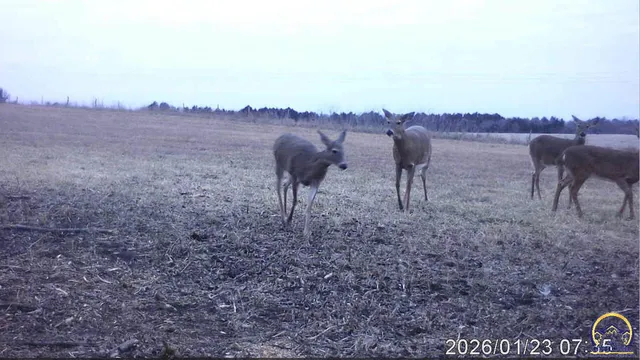 $59,500 | 0 West 125th Street, Carbondale, KS 66414