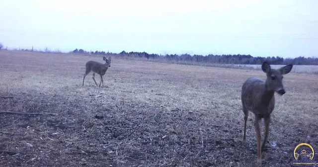 $59,500 | 0 West 125th Street, Carbondale, KS 66414