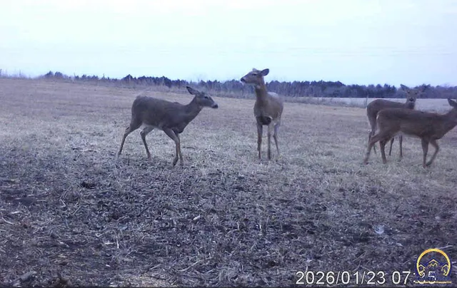 $59,500 | 0 West 125th Street, Carbondale, KS 66414