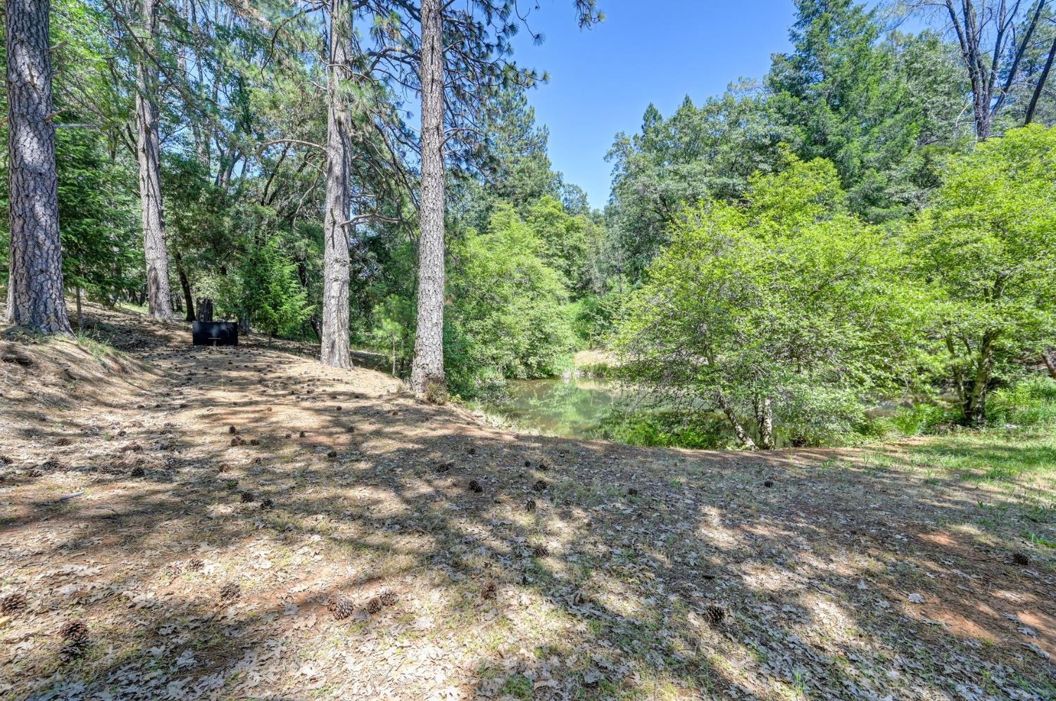 1205 Tokayana Ranch Lane Colfax, CA 95713 - Photo 47 of 60