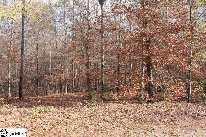 0 Beeks Road, Unit LOT 28 Belton, SC 29627 - Photo 29 of 34