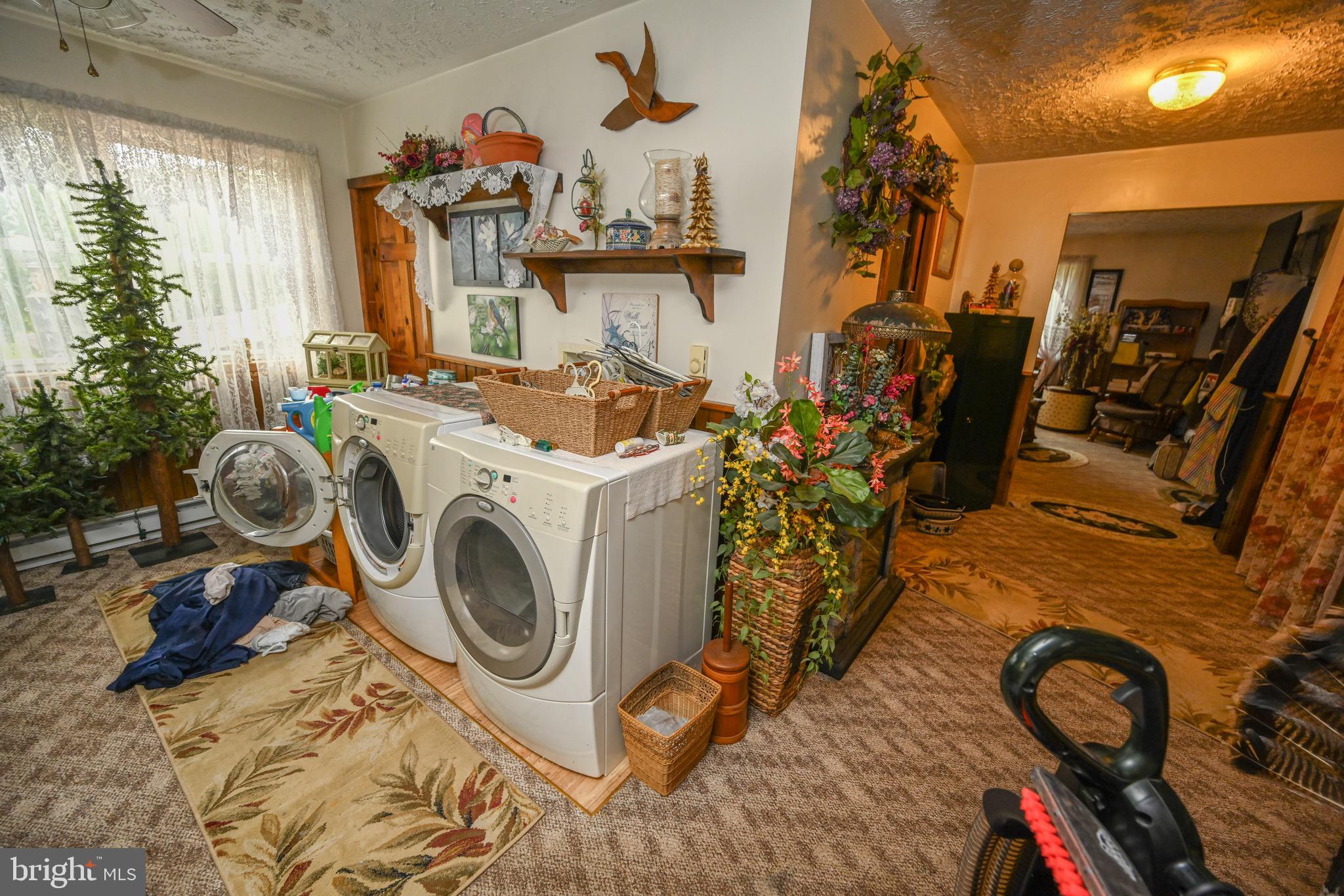 2527 Pigs Ear Road Grantsville, MD 21536 - Photo 25 of 94