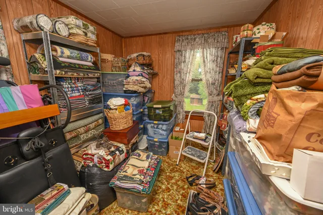 a view of a field with a tree in the background