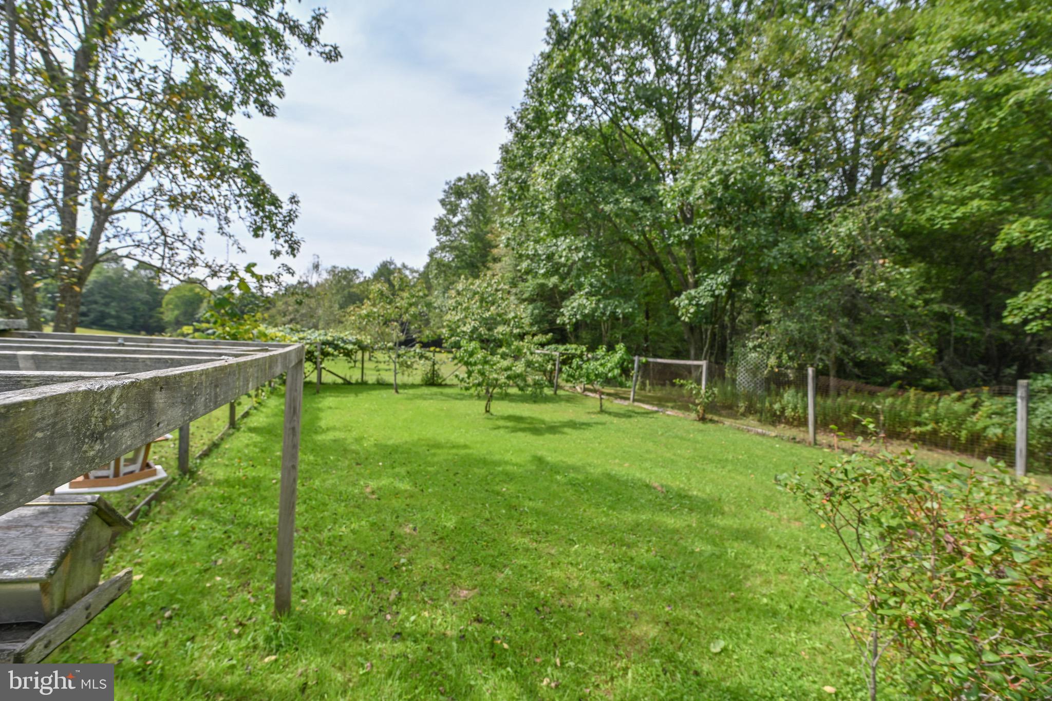 2527 Pigs Ear Road Grantsville, MD 21536 - Photo 41 of 94