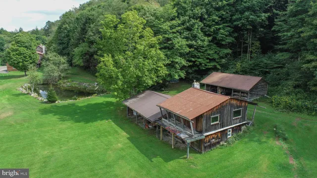 an aerial view of mountain with trees